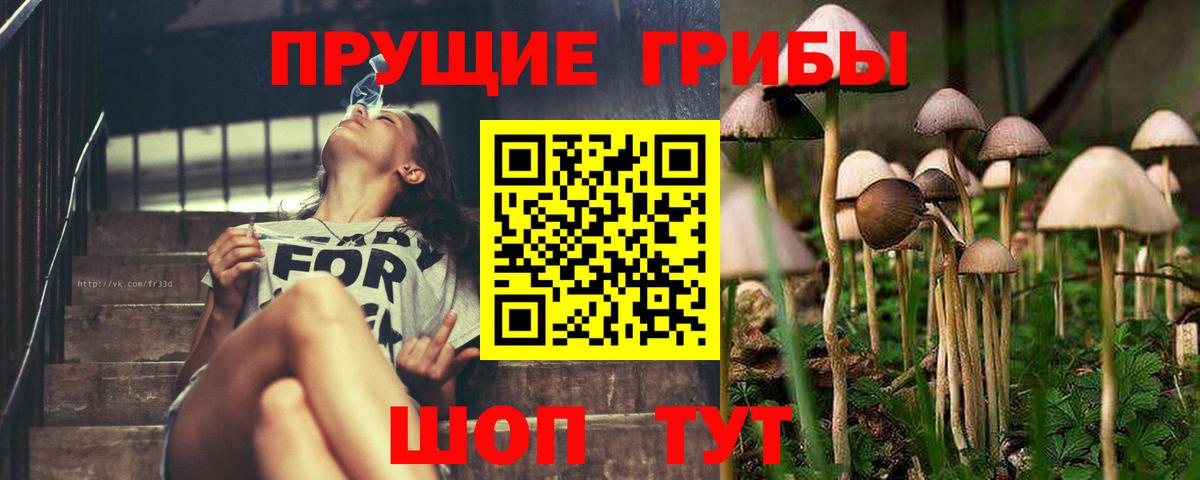 Асбест  Галлюциногенные грибы Psilocybine cubensis  Вход с VPN 